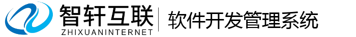 软件系统